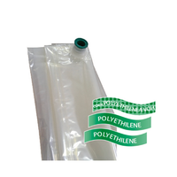 Pour la Chine : Sac sous vide aseptique FLEX GOLD 20L pour boissons liquides