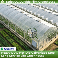 8m Span Multi-span foliekas met oprolbare ventilatie voor tomatenteelt, verzinkte constructie