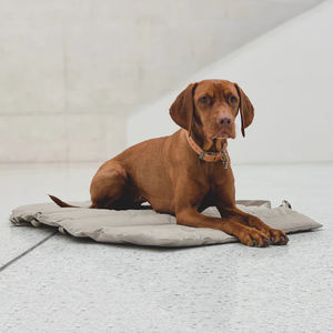 Cama para mascotas acogedora y duradera para comodidad y protección Alfombrilla impermeable para mascotas - Product Image 5