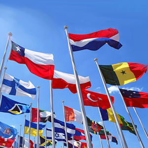 5*8 pies 150*240cm Bandera DE LAS NACIONES hecha en fábrica Bandera de Austria Bandera para campaña Marching Festival Reunión Celebración Publicidad - Product Image 6