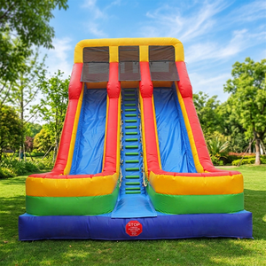 WINSUN Large Outdoor Commercial 0.55mm PVC Inflatable Water Park Palm Tree Water Slide - Product Image 1