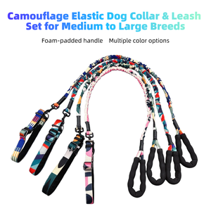 Haustierhalsband & 2,5 cm breites Halsband für mittelgroße und große Hunde mit 130–170 cm elastischer Leine, Anti-Zug-Set für den Spaziergang mit Haustieren für Golden Retriever - Product Image 2