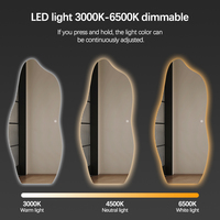 Miroir de salle de bain anti-buée moderne et minimaliste, miroir intelligent éclairé par LED, miroirs muraux uniques pleine longueur