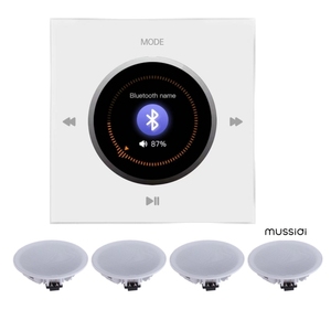 Bán Buôn <span class=keywords><strong>Mini</strong></span> Stereo Surround Âm Thanh Cho <span class=keywords><strong>Bluetooth</strong></span> Loa Khuếch Đại Thông Minh Điều Khiển Wall Mount Trong Tường Thu Bộ Khuếch Đại - Product Image 1