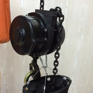 Polipasto Eléctrico de Cadena DY+ 1T Ideal para Cambios de Escenario Frecuentes y Ajustes Dinámicos en la Montaje de Escenarios en Eventos en Vivo. - Product Image 1