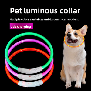 Collar <span class=keywords><strong>LED</strong></span> Recargable USB-C al por Mayor, Elegante Collar de Plástico Brillante para Perros y Gatos para Seguridad Nocturna - Product Image 1