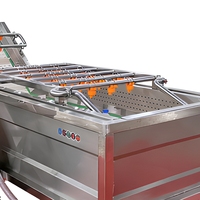Bubble Cleaning Groente En Fruit Wasmachine Tomaat Fruit Wasmachine Machine