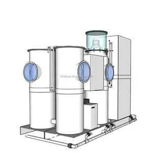 high quality aquaculture recirculating system Z.K.RAS Indoor Fish Farming Aquaculture RAS System