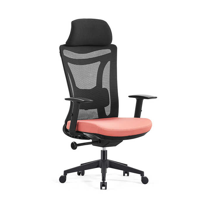 ĐỊA CHỈ MUA GHẾ VĂN PHÒNG TẠI BẾN TRE – CHẤT LƯỢNG VƯỢT TRỘI, BẢO VỆ SỨC KHỎE 3 Mua ghế văn phòng tại Bến Tre