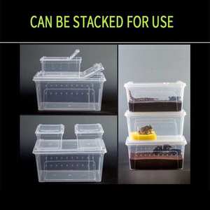 Bac à repticule pour reptile, réservoir en plastique, pour outils d'élevage de nourriture, personnalisé pour tortues - Product Image 4