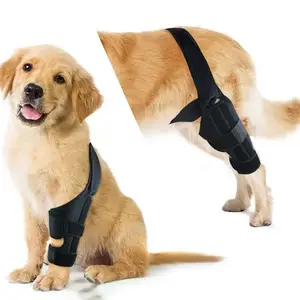 OEM verstellbare Hunde-Kniebandage Beine Unterstützung Gelenkwicklung Protektor Erholungsärmel orthopädische Hunde-Kniebandage für ACL