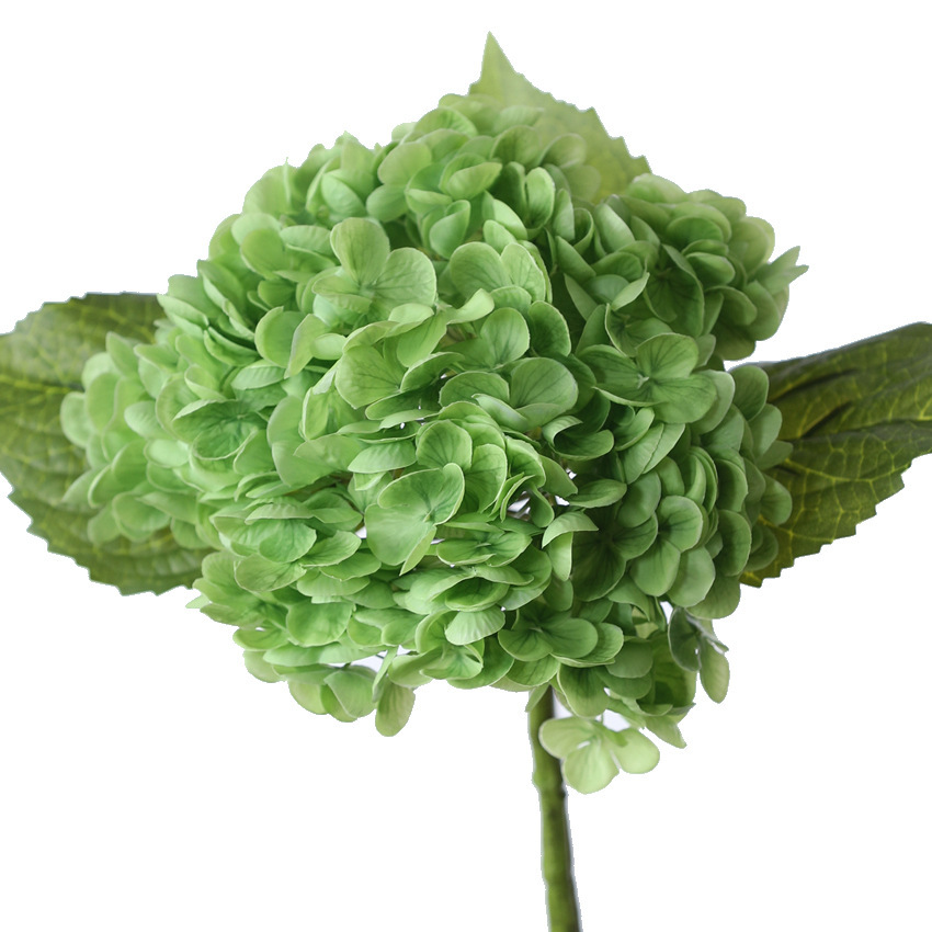 Vert foncé