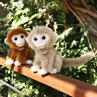 Jouet en peluche petit singe réaliste transfrontalier poupée singe aux yeux d'or PP coton lavé poupée de confort pour enfants cadeau d'anniversaire