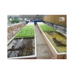 Cchoyueh الأسماك والخضروات المشتركة القائمة aquaponics النظام - Product Image 3