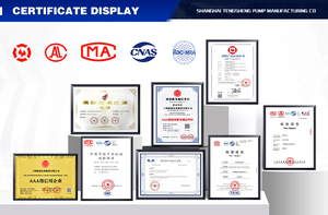 <span class=keywords><strong>Bomba</strong></span> Contra Incendios Portátil de <span class=keywords><strong>12V</strong></span> con Motor Diésel para <span class=keywords><strong>Riego</strong></span> Agrícola - Product Image 5