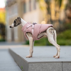 Veste d'hiver imperméable pour chien avec harnais, vêtements rembourrés réfléchissants pour animaux de compagnie, gilet chaud pour l'extérieur pour Labrador <span class=keywords><strong>Shiba</strong></span> <span class=keywords><strong>Inu</strong></span> B2B - Product Image 2