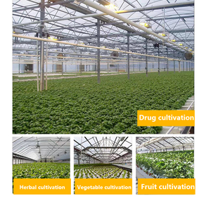 1500W <span class=keywords><strong>Led</strong></span> Grow Light Panel <span class=keywords><strong>Led</strong></span> Samsung <span class=keywords><strong>Cultivo</strong></span> Interior con 5 años de garantía - Product Image 3