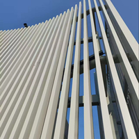 Système de Façade à Lamelles en Aluminium Architecturales Personnalisées, Résistantes au Feu et à Faible Entretien, Pare-Soleil Vertical Extérieur, Mur de Pare-Soleil