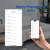 Termostato Wifi Digital personalizado de fábrica para el hogar, Control de temperatura de calefacción, termostato Wifi con termostato Tuya Smart Life