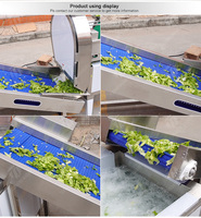 Fruitliftmachine Voor Groothandel Verse Appelbanaan Oranje Druivenbehandeling Duurzame Roestvrijstalen Constructie
