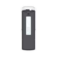 Pen Audio Digital Mini U Disk, flash drive portabel perekam suara USB murah