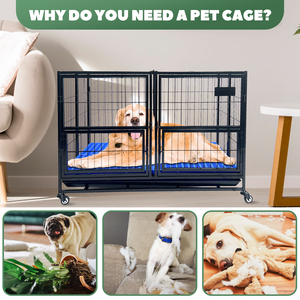 Cage à chien pliable en fer robuste, chenil portable pour animaux de compagnie avec double porte, plateau amovible, plusieurs couleurs, taille personnalisée - Product Image 1