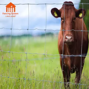 Vendita della fabbrica 6 piedi incernierato nodo a prova di capra veldspan campo di recinzione per allevamento di bestiame