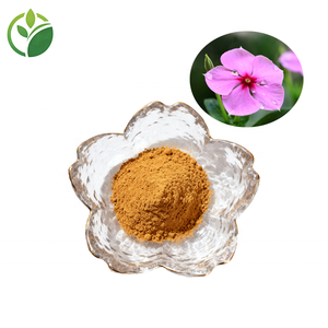 Extracto de <span class=keywords><strong>Catharanthus</strong></span> Roseus en Polvo, Extracto de Periwinkle en Polvo, Precio al por Mayor - Product Image 2