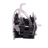Conjunto de bomba de tinta Roland Dx4 Bomba eco solvente para impresoras Roland Mimaki