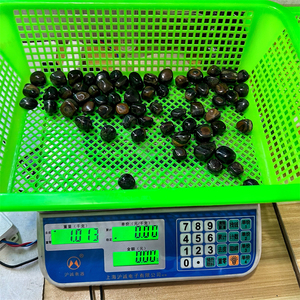 Di alta qualità di vendita calda naturale di piccole dimensioni blu occhio di <span class=keywords><strong>tigre</strong></span> caduto pietra per la guarigione - Product Image 6