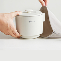 Bouilloire Électrique Pliable 0,8 L, Chauffe-Eau Portable avec Contrôle de Température, Théière Multifonction, Cuisinière de Voyage Pliante