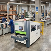 Machine automatique de ponçage et de polissage du bois, équipement de ponçage à brosse pour la production de portes, d'armoires et de meubles en bois
