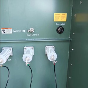 Transformadores de Distribución Trifásicos de Montaje en Plataforma, 13.2kv a 480v, 1250kVA, 2500kVA, 3000kVA, Baja Pérdida, Transformador Compacto de Media y Alta Tensión - Product Image 3