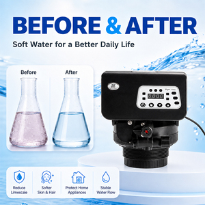 Vanne adoucisseur d'eau électrique multifonctionnelle automatique en gros pour équipement de traitement de l'eau domestique - Product Image 5