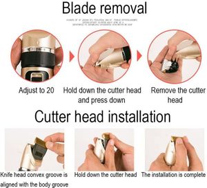 Beliebteste Tierpflegewerkzeuge <span class=keywords><strong>2026</strong></span> Professioneller Tierhaarschneider Wiederaufladbares Elektrisches Hundeschermaschinen-Set - Product Image 2