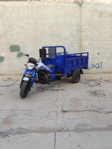 Nouveau style de tricycle ouvert, tricycle passager, moto à moteur à essence, moto à trois roues - Product Image 3