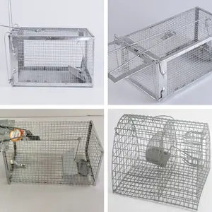 Cages pour animaux de haute qualité, vente en gros