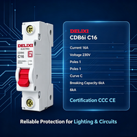 MCB Mini Tembaga 1-Pole Delixi 25A Arus Terukur Tahan Debu Perlindungan Kebakaran Kapasitas Pemutusan 6kA Bersertifikasi CCC CE Din Rail