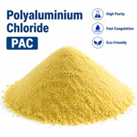 Poudre adsorbante de chlorure de polyaluminium pour la réduction du DCO dans les eaux usées avec une concentration efficace de 99,99 %