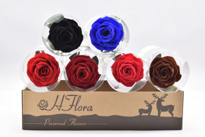 HFlora Factory Supply Wholesale Decorative Long Stem Preserved Rose for Celebration Wedding Valentine's Day Graduation <strong>Gift</strong> - Product Image 4