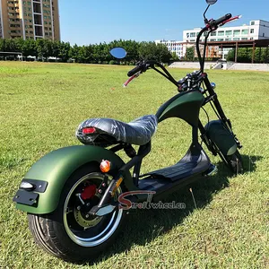 Holland Magazzino Nuovo CEE/COC Citycoco 3000W Omologazione Scooter Elettrico con Batteria Al Litio Rimovibile