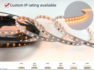 Bande LED VR à intensité variable 192 LED/s, dimmable <span class=keywords><strong>de</strong></span> chaud à froid 3000K~1800K, PCB personnalisé IP 10mm, DC24V 4.8W/9.6W/13W, <span class=keywords><strong>Site</strong></span> <span class=keywords><strong>de</strong></span> <span class=keywords><strong>vente</strong></span> <span class=keywords><strong>en</strong></span> <span class=keywords><strong>ligne</strong></span> <span class=keywords><strong>chinois</strong></span> - Product Image 3