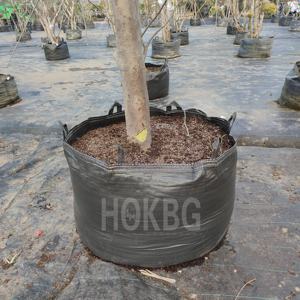 HOKBG all'ingrosso eco-friendly tessuto in polipropilene sacchetto di piantagione per grandi e alti alberi piantatori semina vivaio <span class=keywords><strong>alberello</strong></span> crescere vaso - Product Image 5
