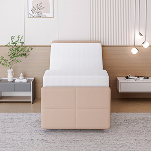 Vente en gros d'usine de lit médical réglable de haute qualité en Europe avec pied de lit - Product Image 3