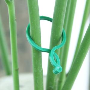 Clips de plantes vertes réutilisables de haute qualité, support pour plantes grimpantes de jardinage, résistant aux intempéries, revêtement PE, 6x4 cm, <span class=keywords><strong>aide</strong></span> à sécuriser les plantes - Product Image 2