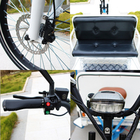 Tuktuk, Transporte Ecológico, Bicicleta Eléctrica de Pedales, Rickshaw, Triciclo con Llantas Anchas, Bicicleta de Carga Familiar, Triciclo para Adultos