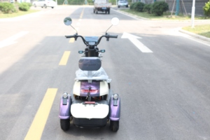 Vente en gros <span class=keywords><strong>Tricycle</strong></span> électrique 3 roues d'<span class=keywords><strong>occasion</strong></span> <span class=keywords><strong>pas</strong></span> <span class=keywords><strong>cher</strong></span> pour adultes - Product Image 5