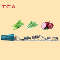 Tca Bevroren Plantaardige Productielijn Iqf Fruit En Groenten Lijn Voor Komkommers Tomaten En Peultjes
