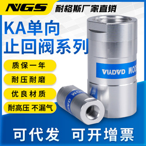 Ngs Pneumatic Check Valve Ka15402520100806 2 Inch Dn Slow Closing Type For Air Flow Control - Product Image 4