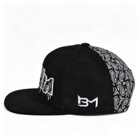 Casquette unisexe à visière plate de haute qualité, personnalisée, bicolore, avec broderie 3D, casquette snapback pour les activités de plein air, la plage, les performances et la pêche